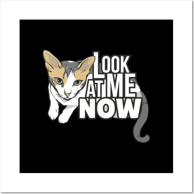 Look at me now - funny cat design Wall Art by LR_Collections